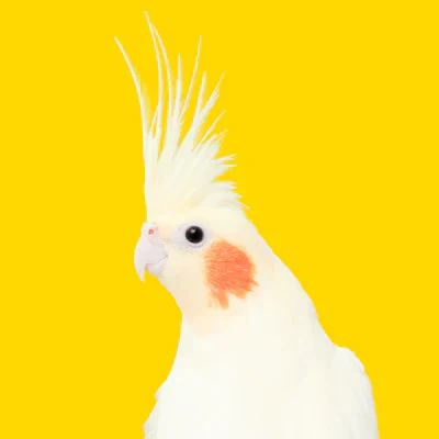 Fågel