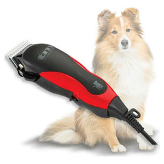Collection image for: Hundtrimmer Maskiner OLD