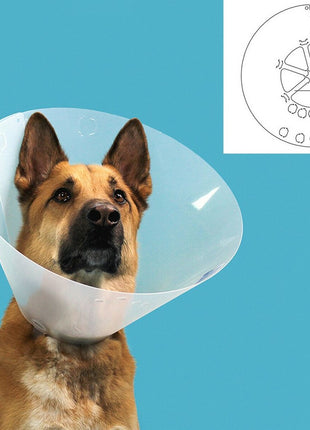 Kvp Elizabethan Hundhalsband Kvp Quick Fit Transparent (45-56 Cm)
