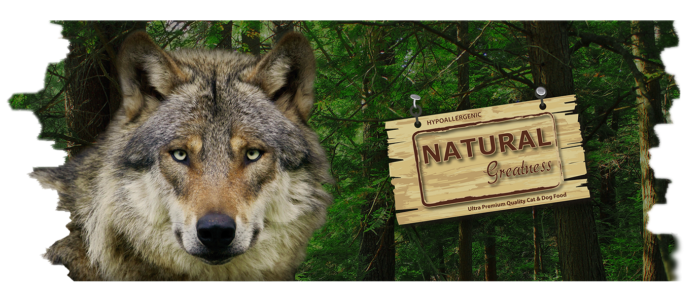 <h3><a href="/collections/natural-greatness" title="Natural Greatness"><strong>Natural Greatness</strong></a><strong> – Naturligt hund- och kattfoder för optimal hälsa."</strong><br/><br/><br/></h3>
