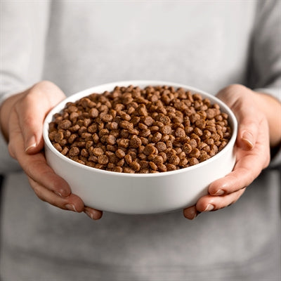 Smolke Welpe Mini / Medium Kibble