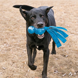Kong Wubba Komet