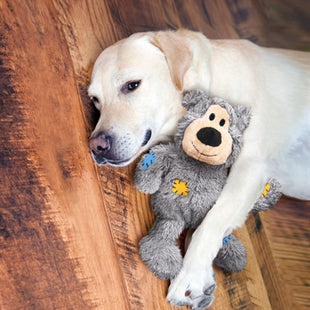 Kong Wild Club Bear Assorti