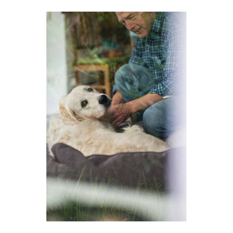 Hunter Dog Sofa Hunter Boston Brun (60 X 50 Cm)
