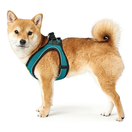 Hunter Hundsele Hunter Hilo-Comfort Turkos Xs-Storlek (35-37 Cm)