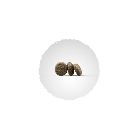 Foder Josera 2815 Barn/Junior Lax Anka Potatis 15 Kg