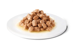 Advance Veterinary Diet Magen-Darm-Verdauung Der Katze