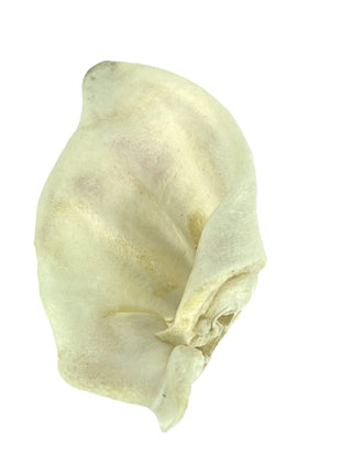 Petsnack Schweinsohren Gebraten