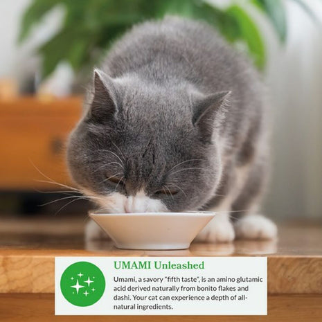 Inaba Snack For Cats Inaba Dashi Delights Kyckling 70 G