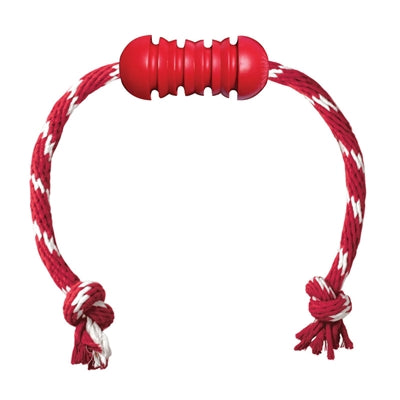 Kong Zahnärztlich Mit Seil