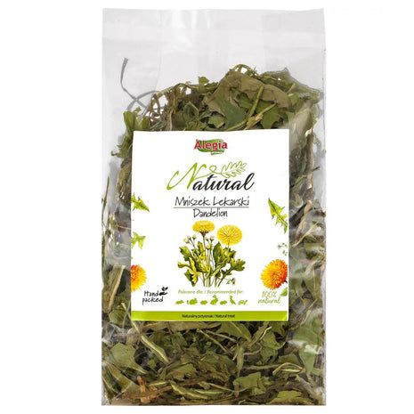 Alegia Snacks Alegia Dandelion 90 G