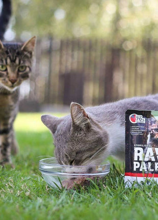Vetexpert Kattmat Vetexpert Adult Cat Nötkött 100 G
