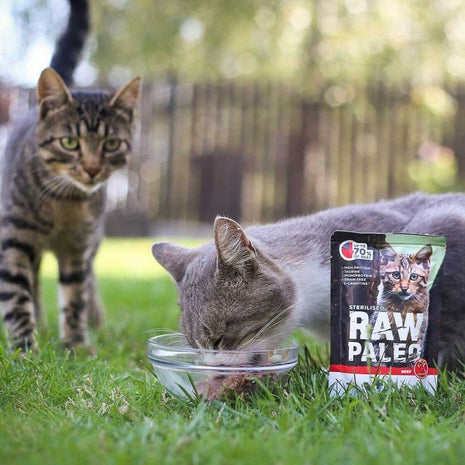 Vetexpert Kattmat Vetexpert Adult Cat Nötkött 100 G