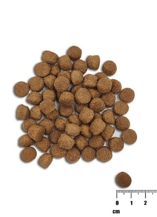Vetexpert Foder Vetexpert Raw Paleo Healthy Grain Puppy Salmon Y Cebada Lax 2 Kg