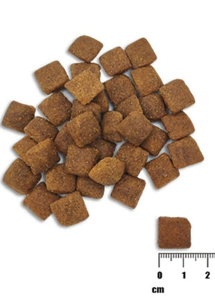 Vetexpert Foder Vetexpert Raw Paleo Healthy Grain Adult Lax 10 Kg