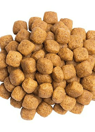 Purina Kattmat Purina Pro Plan Kyckling Fisk 1,5 Kg