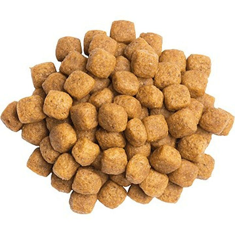 Purina Kattmat Purina Pro Plan Kyckling Fisk 1,5 Kg