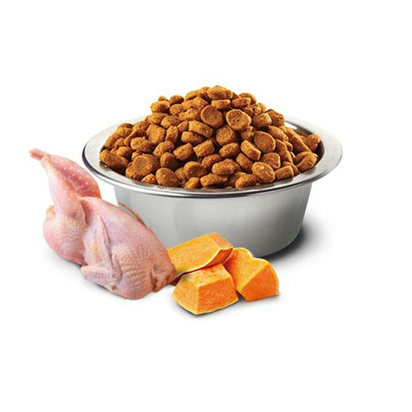 Farmina Kattmat Farmina   Pumpa Vuxen Kyckling 1,5 Kg