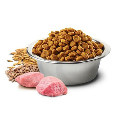 Farmina Foder Farmina N&D Ancestral Grain Canine Vuxen Kyckling 15 Kg