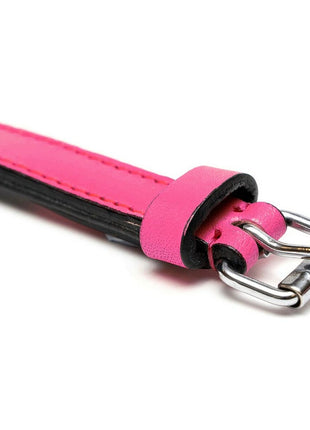 Gloria Hundhalsband Gloria Vadderad Fuchsia (30 X 1,5 Cm)