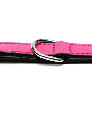 Gloria Hundhalsband Gloria Vadderad Fuchsia (40 X 2 Cm)