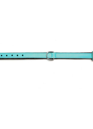 Gloria Hundhalsband Gloria Vadderad Turkos (30 X 1,5 Cm)