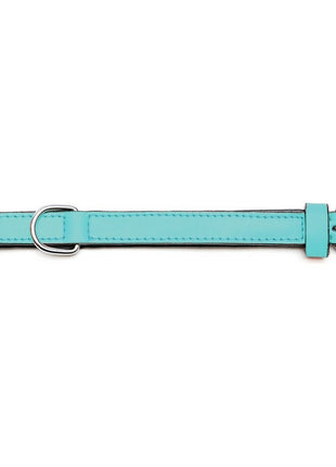 Gloria Hundhalsband Gloria Vadderad Turkos (30 X 1,5 Cm)