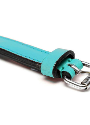 Gloria Hundhalsband Gloria Vadderad Turkos (30 X 1,5 Cm)