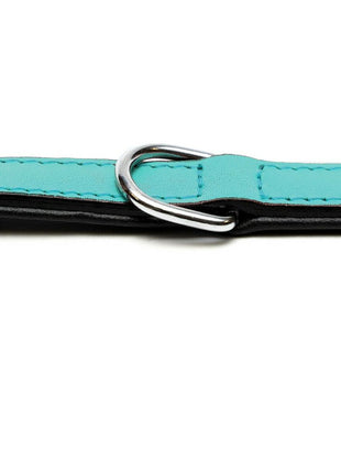 Gloria Hundhalsband Gloria Vadderad Turkos (30 X 1,5 Cm)
