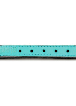 Gloria Hundhalsband Gloria Vadderad Turkos (30 X 1,5 Cm)
