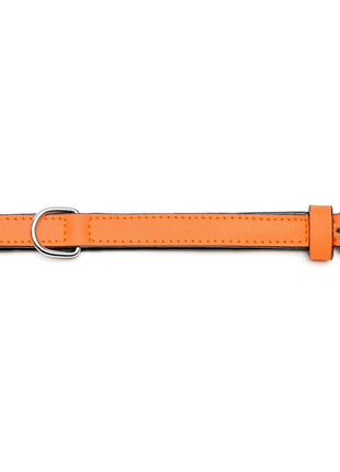 Gloria Hundhalsband Gloria Vadderad Orange (40 X 2 Cm)