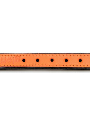 Gloria Hundhalsband Gloria Vadderad Orange (40 X 2 Cm)