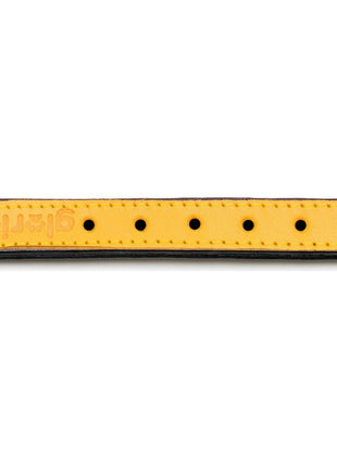 Gloria Hundhalsband Gloria Vadderad Gul (55 X 2,5 Cm)