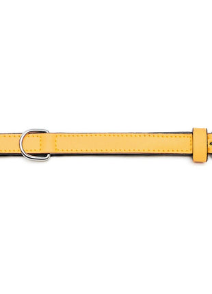 Gloria Hundhalsband Gloria Vadderad Gul (55 X 2,5 Cm)