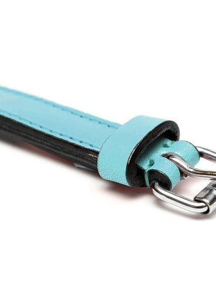 Gloria Hundhalsband Gloria Vadderad Blå (50 X 2,5 Cm)