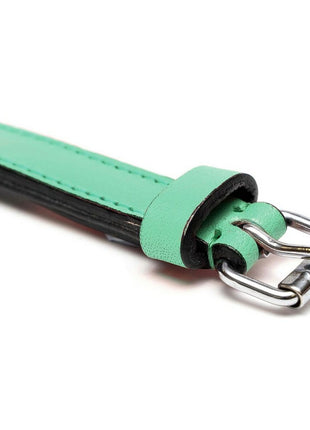 Gloria Hundhalsband Gloria Vadderad Grön (30 X 1,5 Cm)