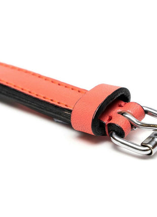 Gloria Hundhalsband Gloria Vadderad Korall (35 X 1,5 Cm)