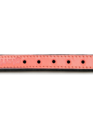 Gloria Hundhalsband Gloria Vadderad Korall (35 X 1,5 Cm)