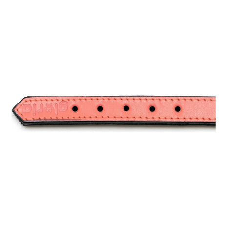 Gloria Hundhalsband Gloria Vadderad Korall (55 X 2,5 Cm)