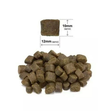 Arquivet Foder Arquivet Salmon Fresco Con Pavo Lax 10 Kg