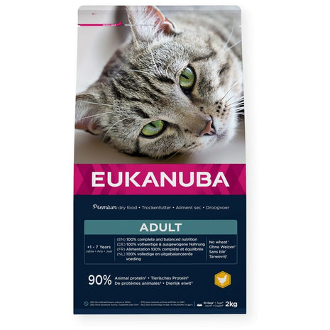 Eukanuba Kattmat Eukanuba Adult Chicken Kyckling 2 Kg