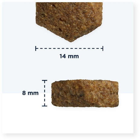 Eukanuba Foder Eukanuba Adult Small&Medium Salmon Fisk 12 Kg