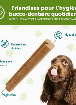 Whimzees Hundgodis Whimzees Puppy Xs/S