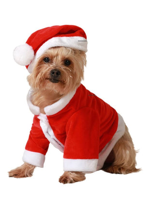Bigbuy Carnival Hundkostym Tomte