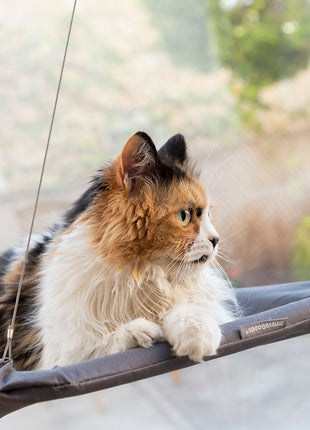 Innovagoods Hängmatta För Katt Catlax Innovagoods